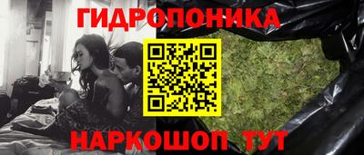 мдпв Пенза