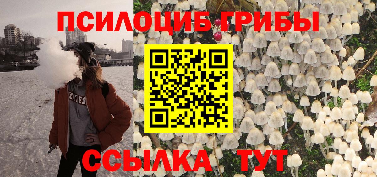 Сибай  Псилоцибиновые грибы прущие грибы  Вход с VPN  Псилоцибиновые грибы мухоморы 